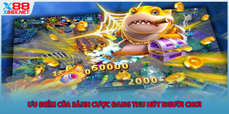 Ưu điểm của sảnh cược đang thu hút người chơi